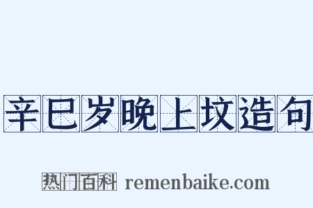 辛巳岁晚上坟造句是什么意思的图片